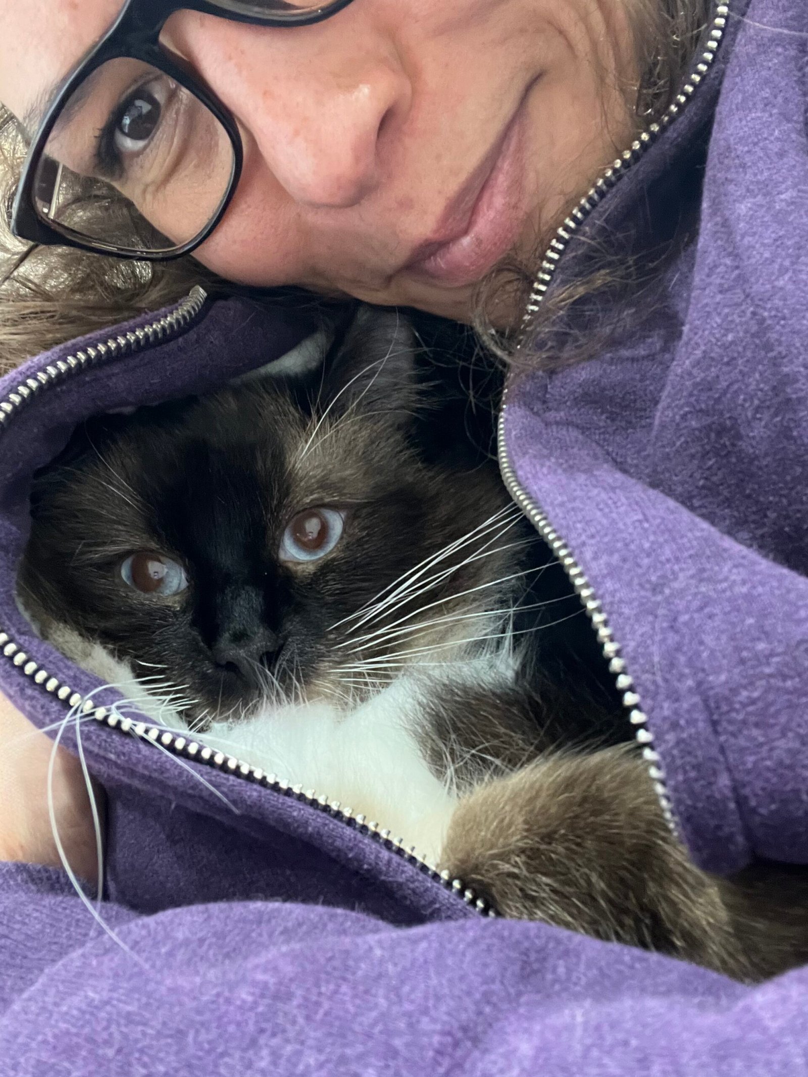 Woman with glasses and brown curly hair is wearing a purple hoodie. The front zip is open and a ragdoll cat snuggling inside.